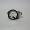 Differential Pressure Gauge Model 200DPG Piston
