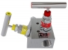 Manifold 2-Valve Angled Bonnet Female / Female
