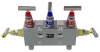 Manifold 5-Valve Direct Mount Flange to Flange
