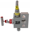 Manifold 2-Valve Direct Mounted Transmitter