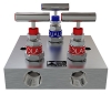 Manifold 3-Valve Flat Face Remote Pipe to Pipe