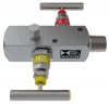 Manifold 2-Valve Remote Mount Male / Female