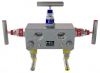 Manifold 5-Valve Remote Mount Pipe to Pipe