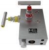 Manifold 2-Valve Enclosure Direct Mount Pipe to Flange
