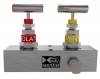Manifold 2-Valve Flat Face Remote Mount