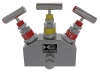 Manifold 3-Valve Angled Bonnet Double Block &amp; Bleed